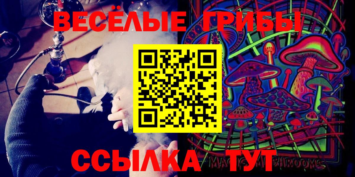 Псилоцибиновые грибы Cubensis Югорск