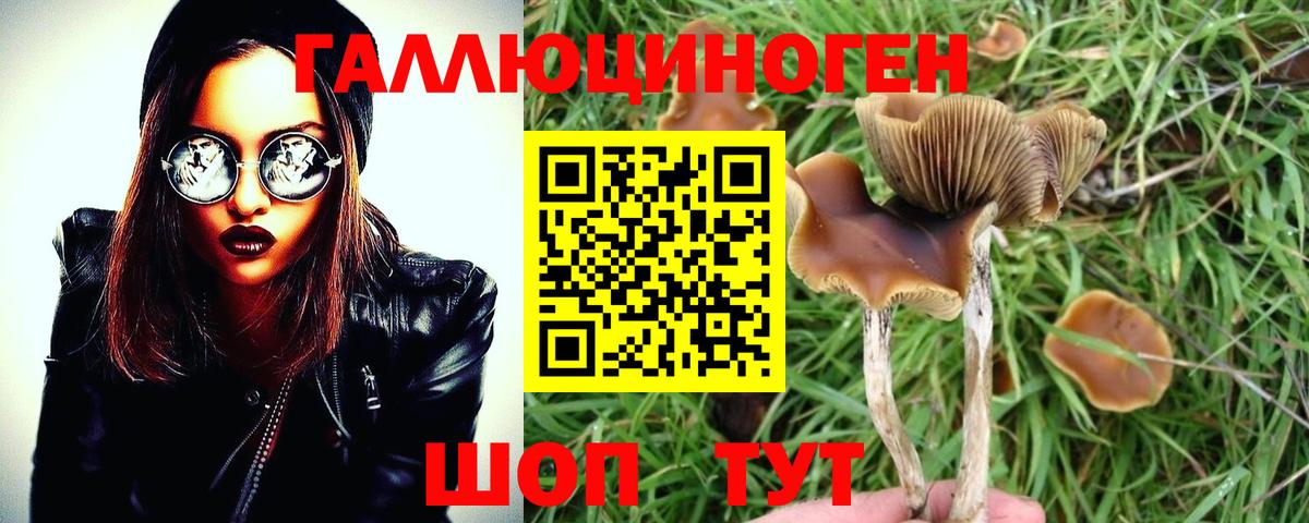 Югорск  Псилоцибиновые грибы GOLDEN TEACHER  Вход с VPN 